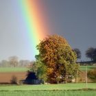 Regenbogen-baum