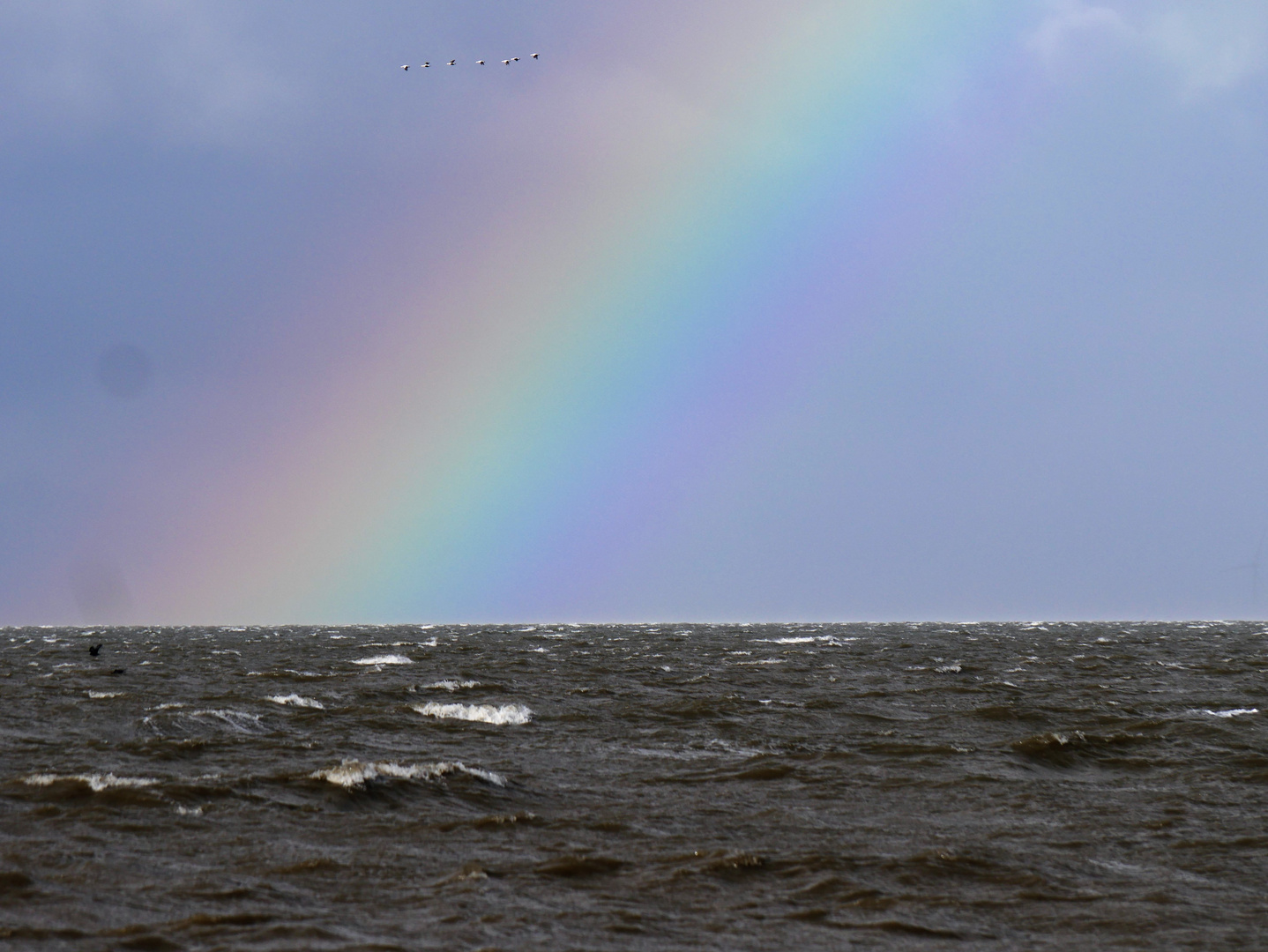 Regenbogen