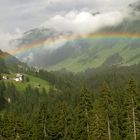 Regenbogen