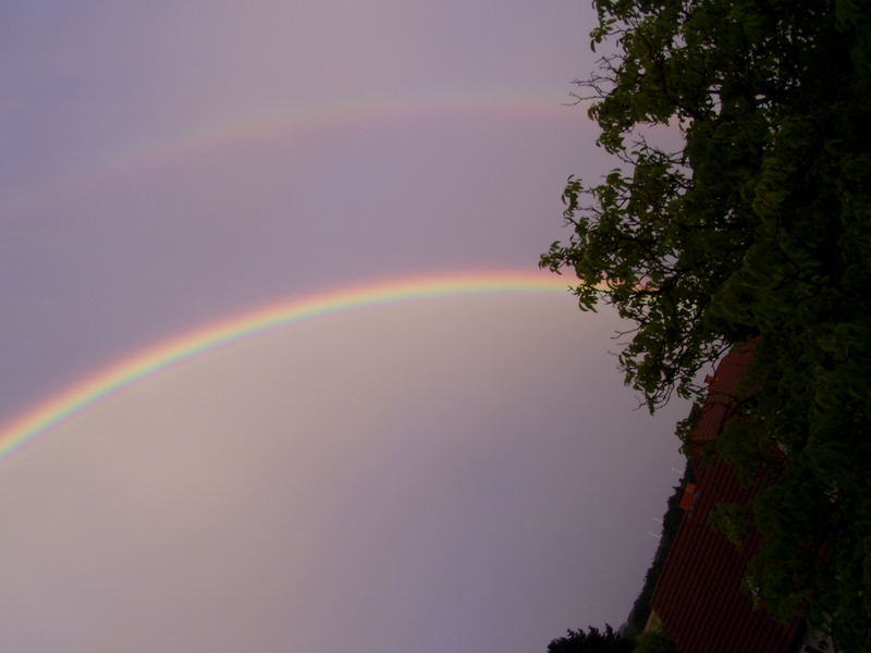 Regenbogen