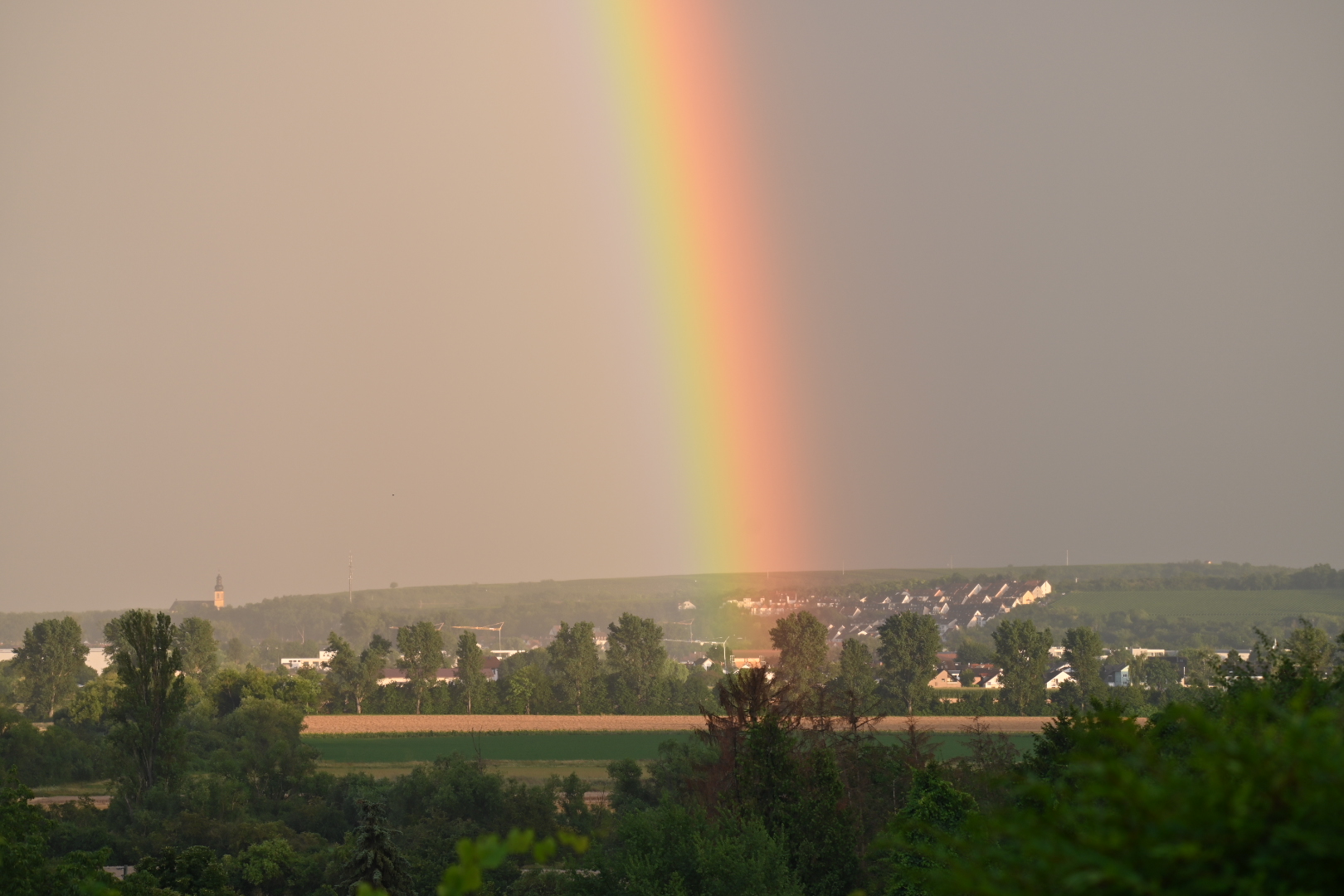 Regenbogen bei Bodenheim