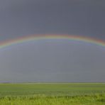 Regenbogen bei Köthen