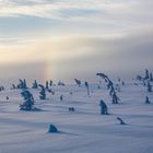 Regenbogen bei minus 15 Grad