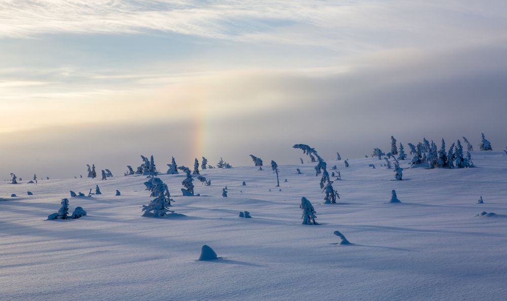 Regenbogen bei minus 15 Grad