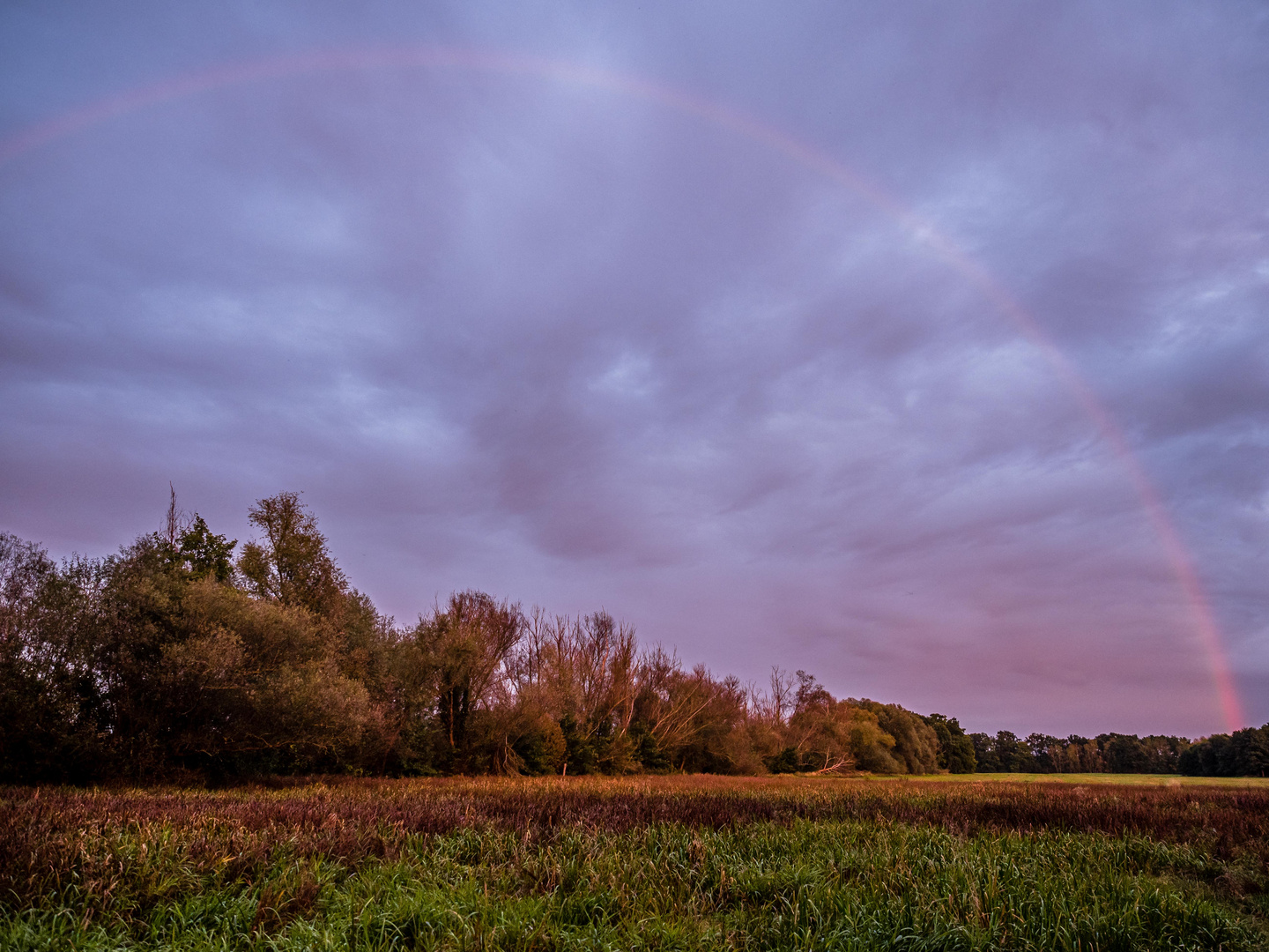 Regenbogen bei Sonnenuntergang