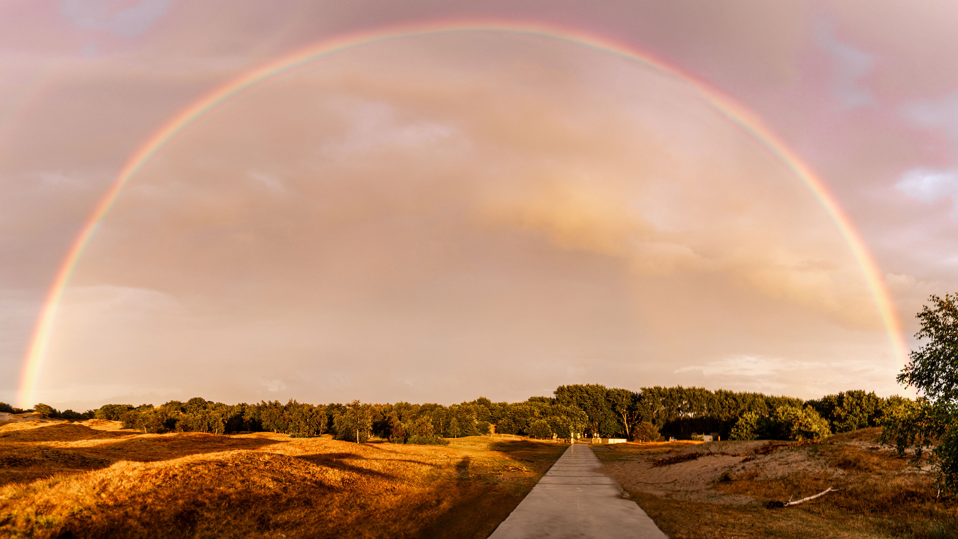 Regenbogen beim Sonnenuntergang in Burgh-Haamstede