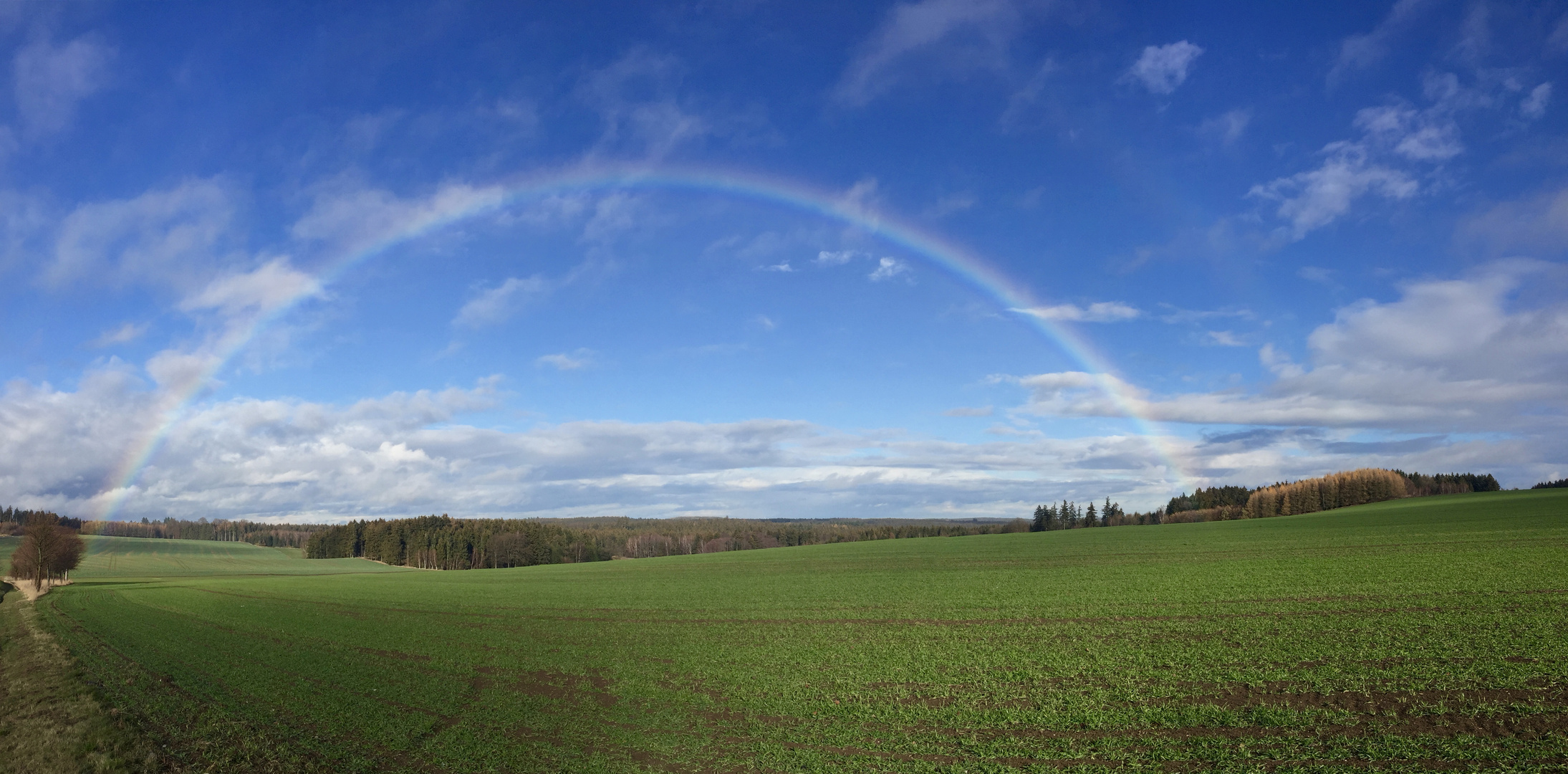 Regenbogen