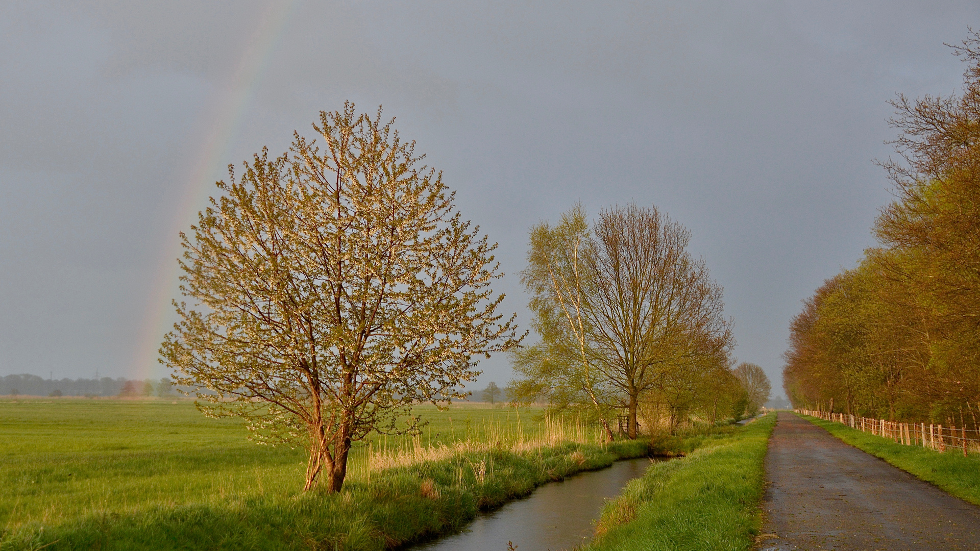 Regenbogen 