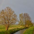 Regenbogen 