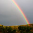 ~ Regenbogen ~