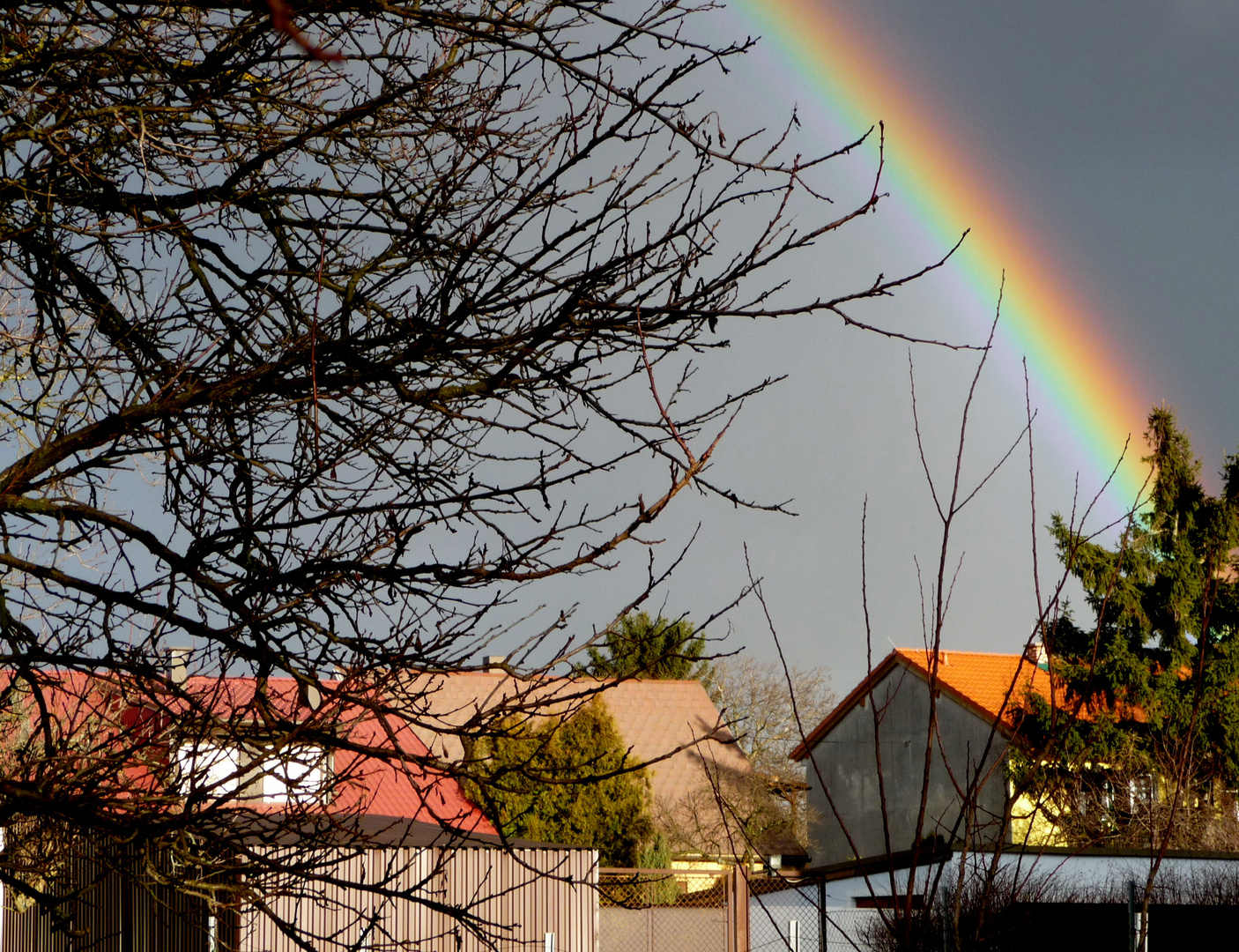 Regenbogen Bild 2