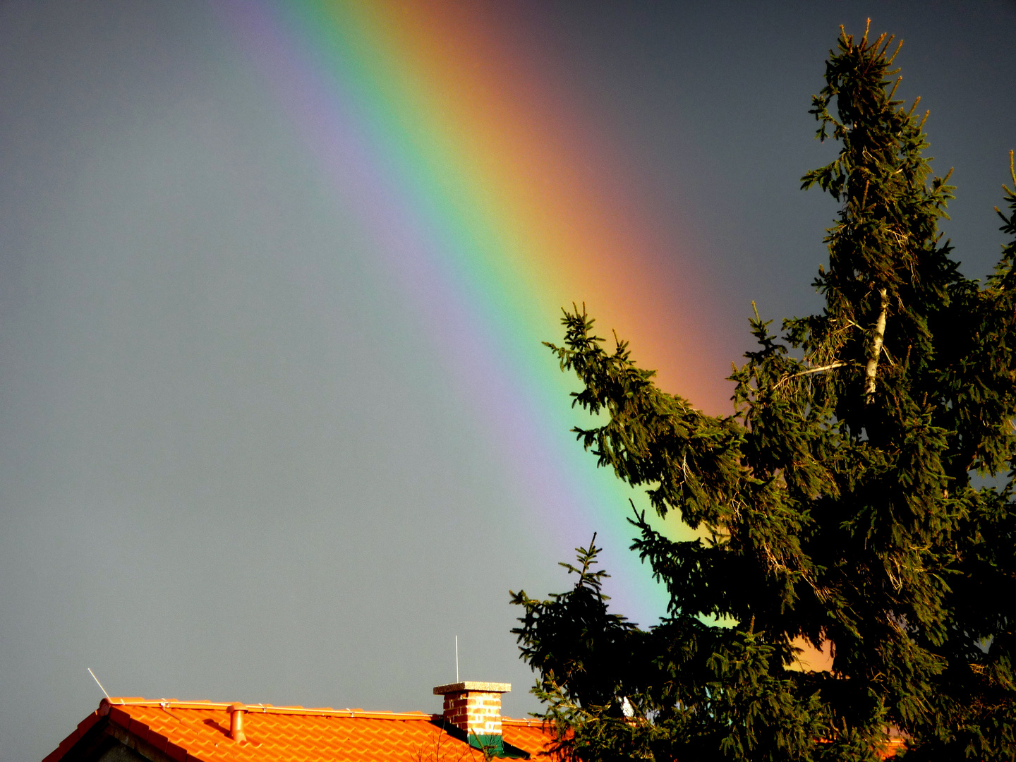 Regenbogen Bild 3