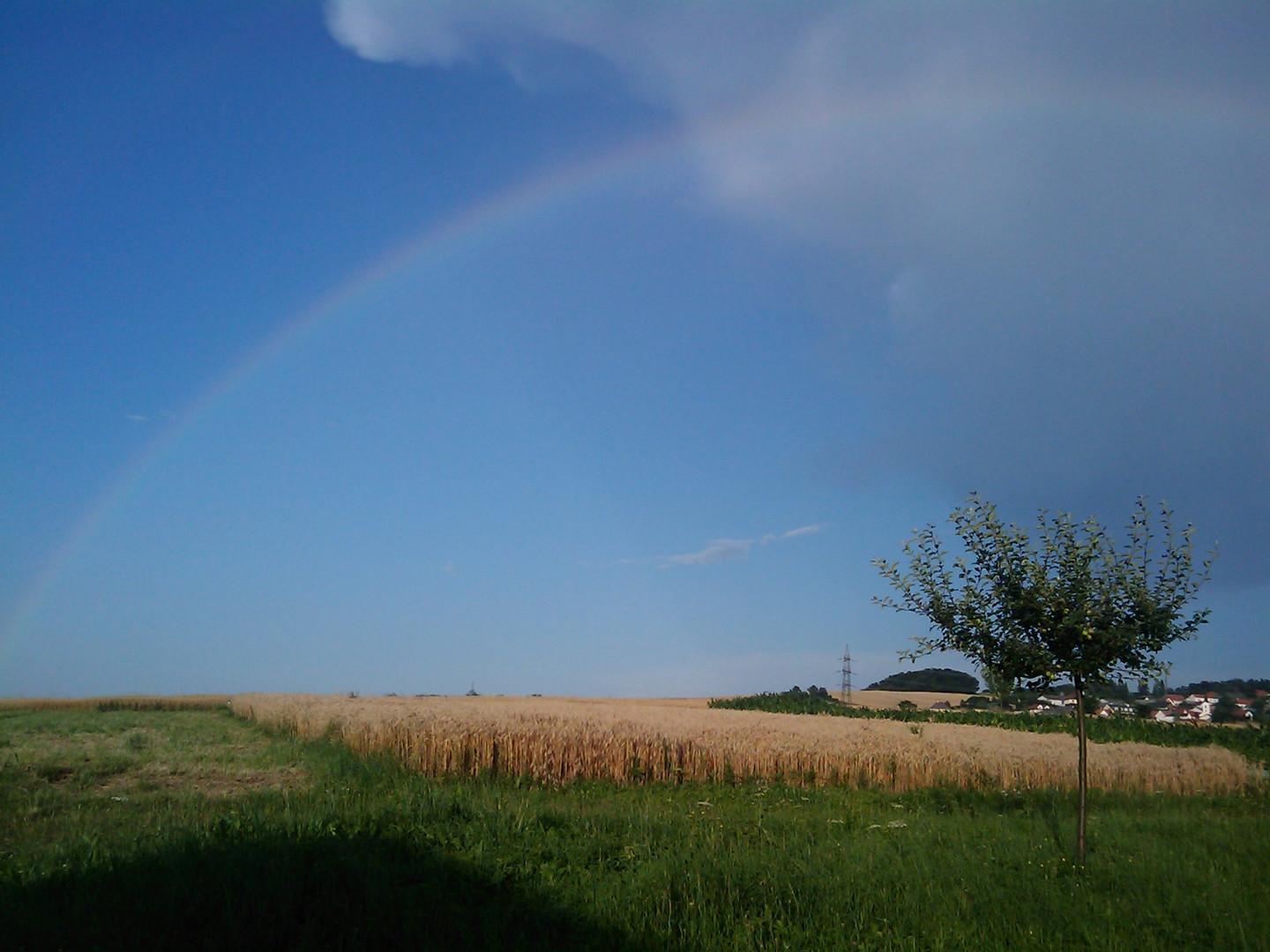 Regenbogen & blauer Himmel