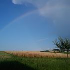 Regenbogen & blauer Himmel