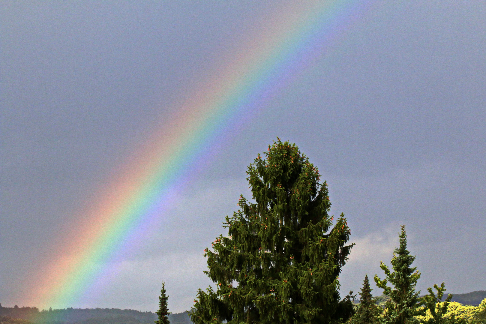 Regenbogen buntes Licht....