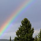 Regenbogen buntes Licht....