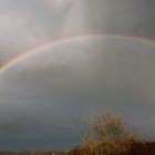 Regenbogen Buntes Licht.