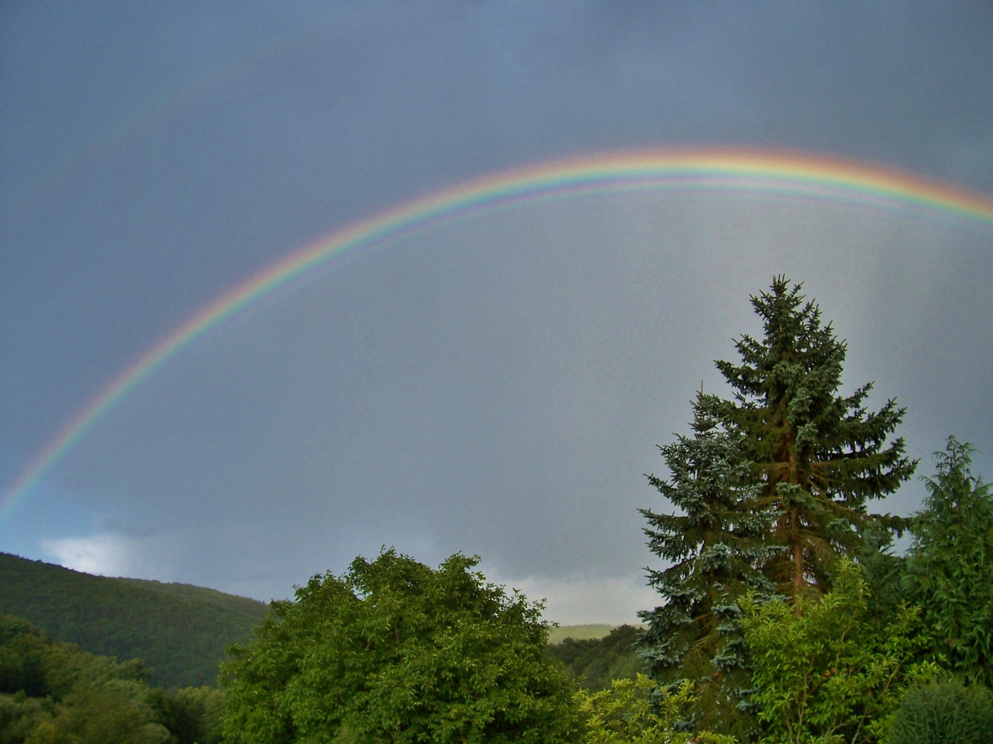 Regenbogen