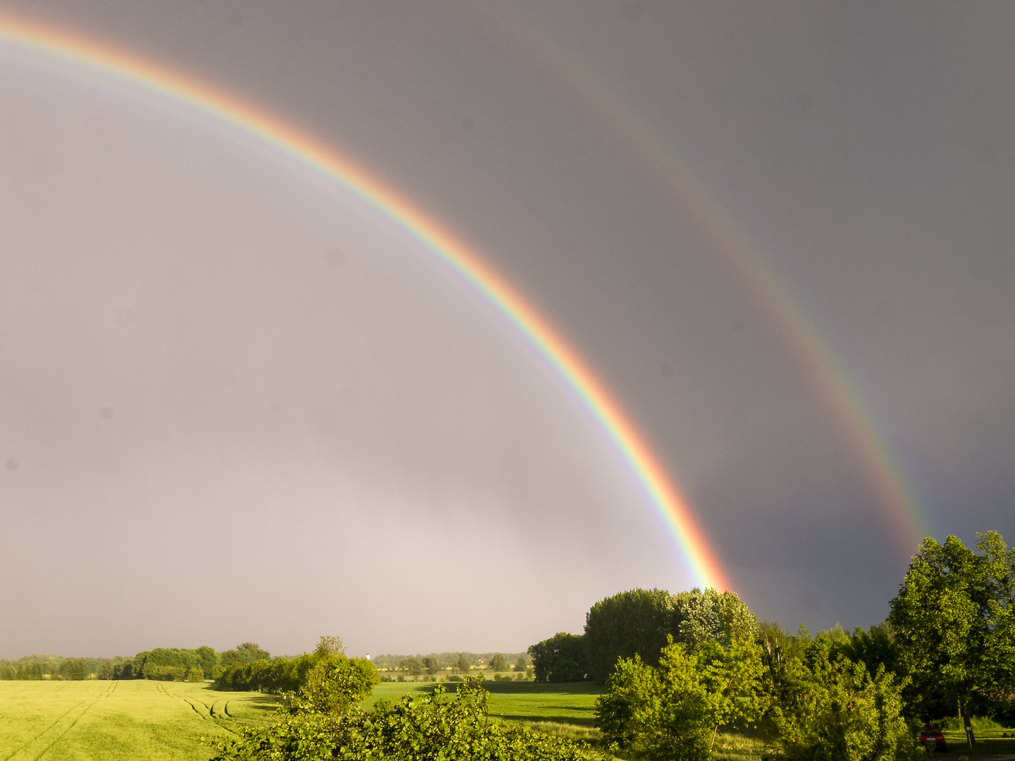 Regenbogen