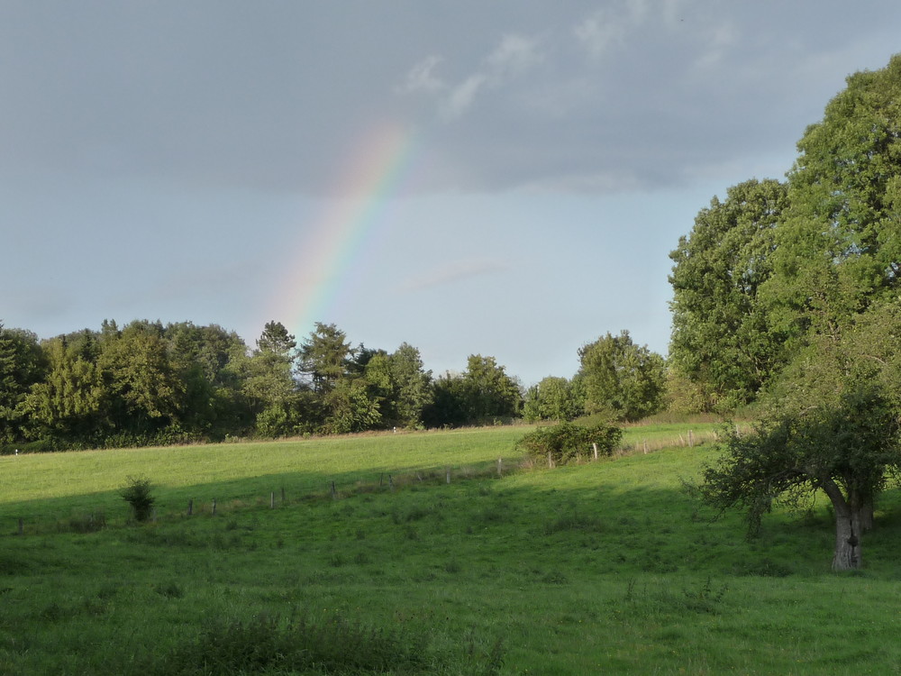 RegenBogen