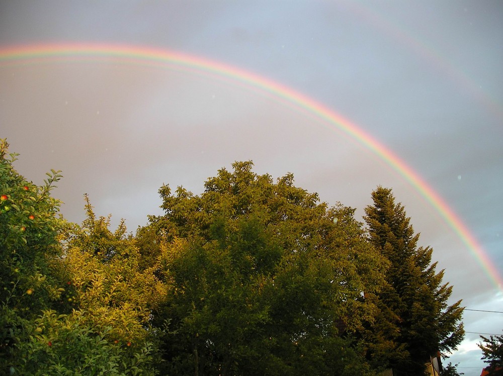 Regenbogen