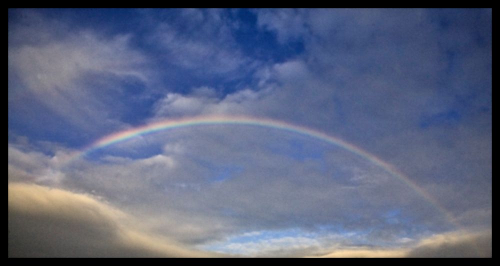 Regenbogen