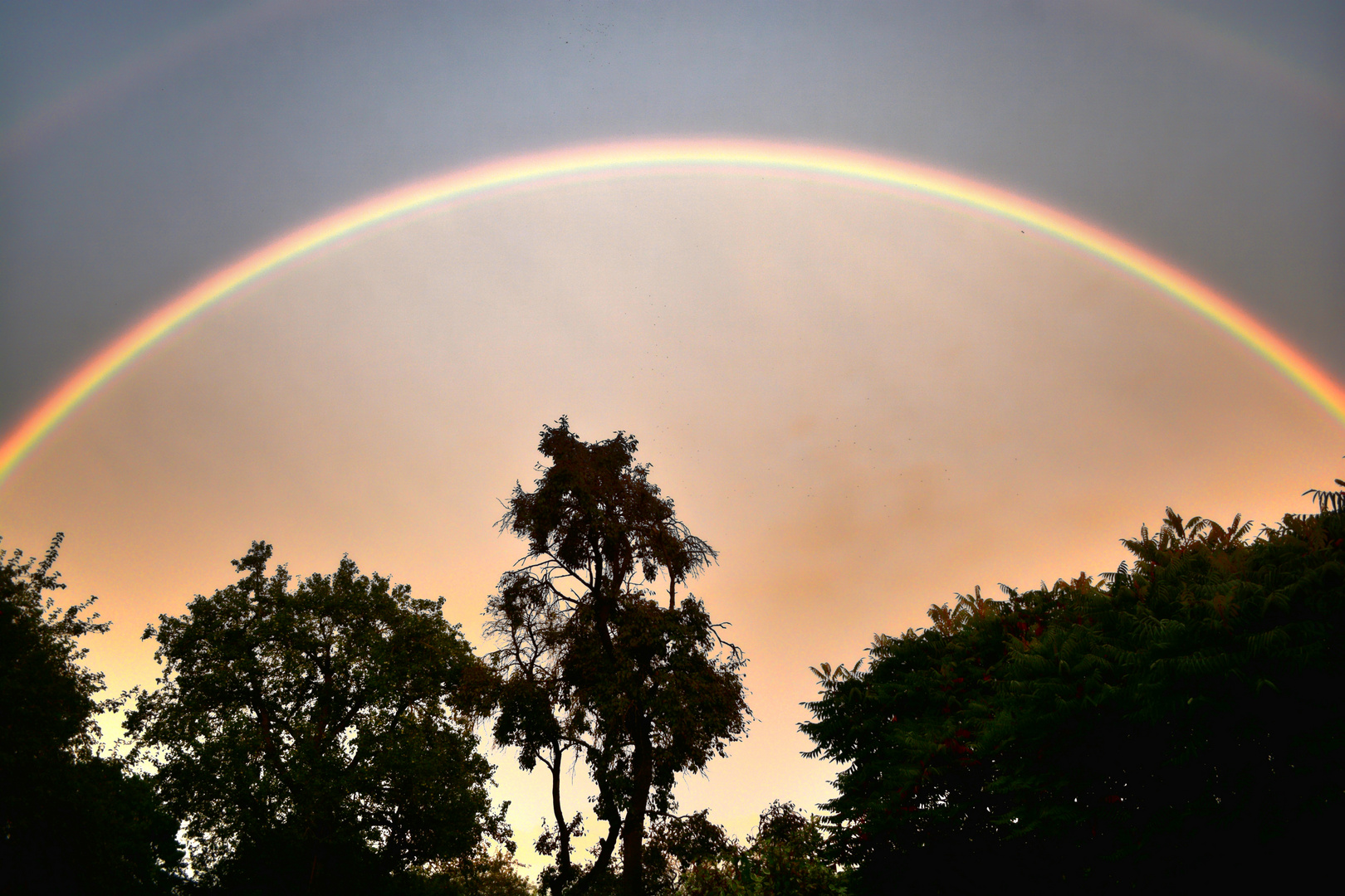 regenbogen