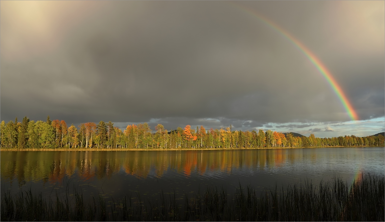 Regenbogen