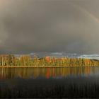 Regenbogen