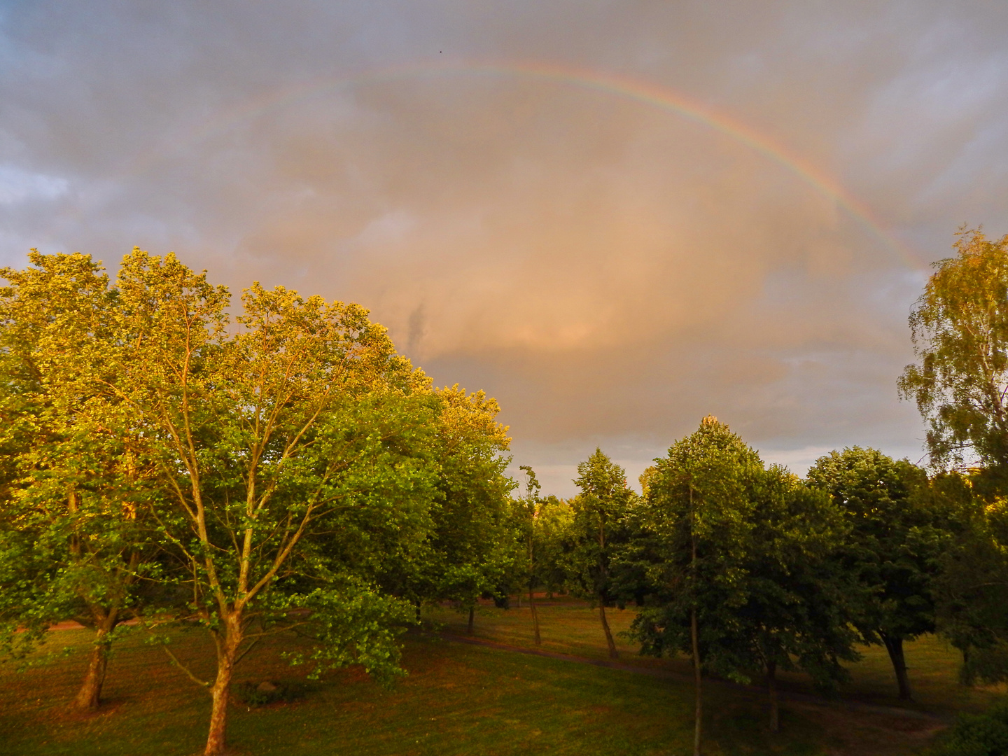 Regenbogen