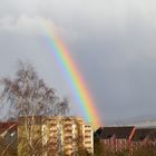 Regenbogen