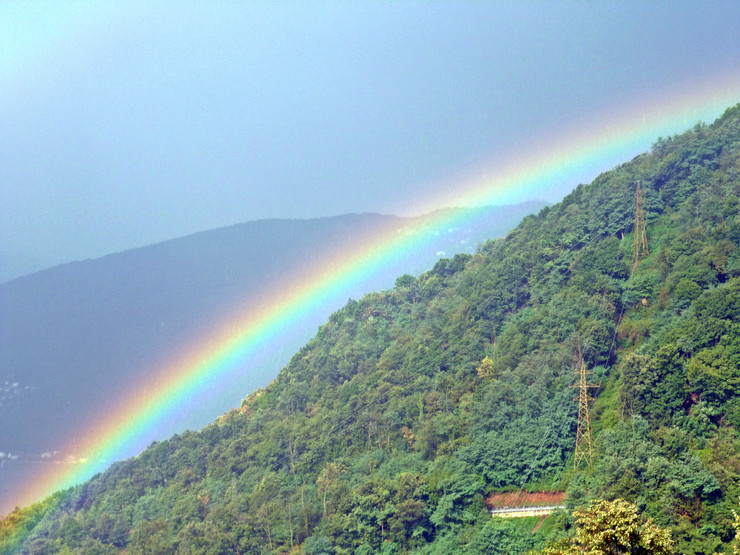 Regenbogen