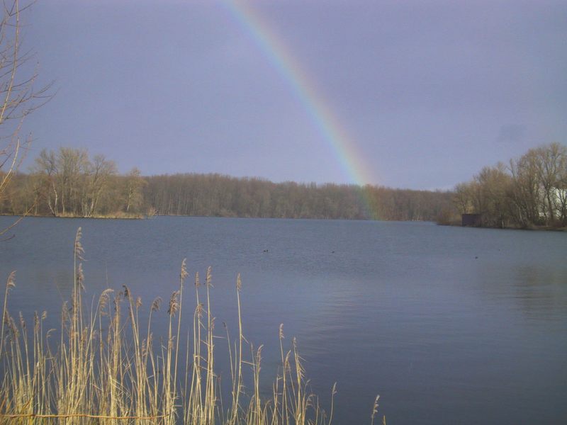 Regenbogen