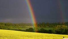 Regenbogen