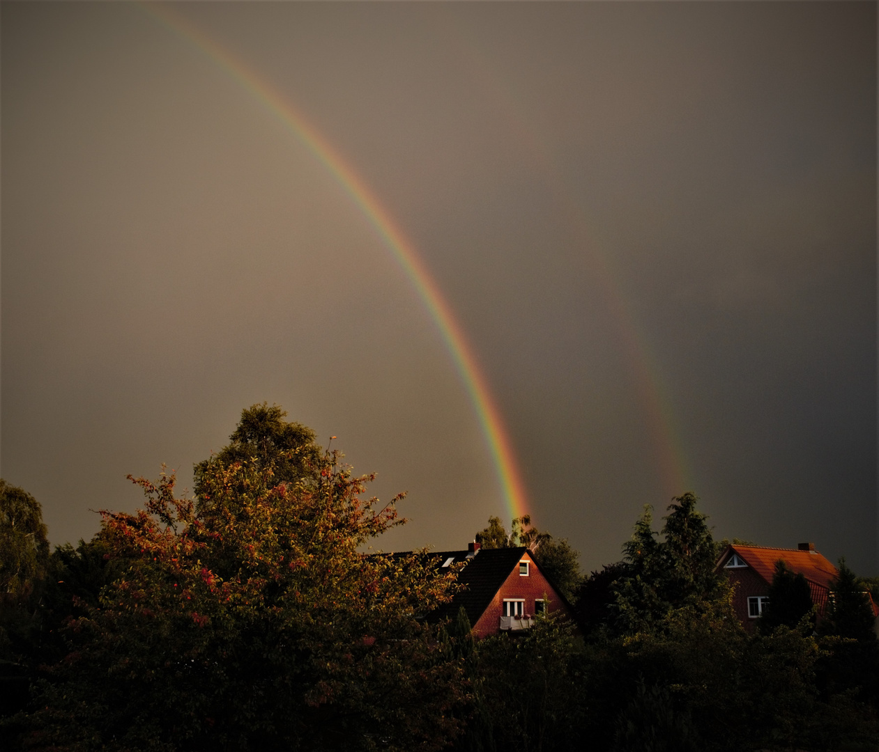 Regenbogen