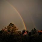 Regenbogen