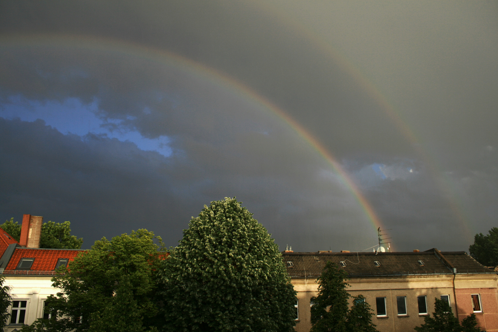 Regenbogen