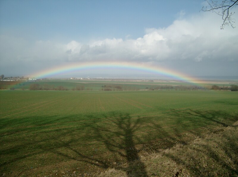 Regenbogen