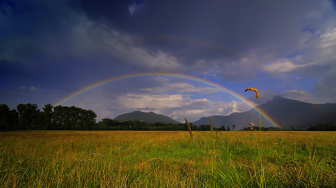 Regenbogen