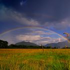 Regenbogen