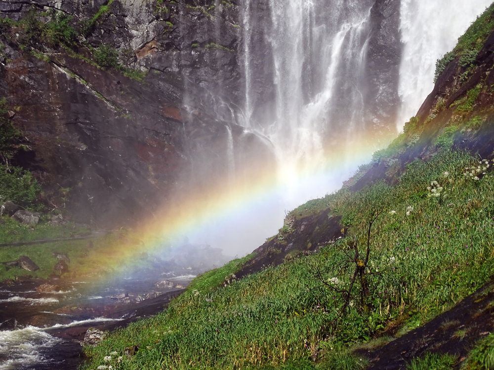 Regenbogen