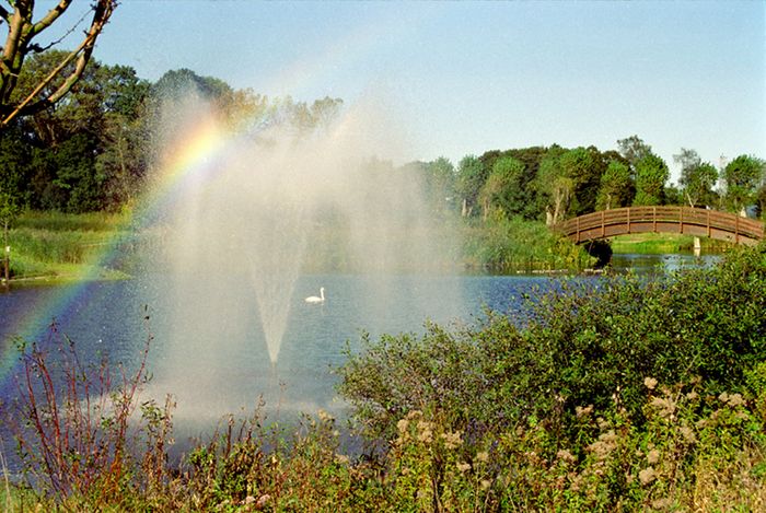 Regenbogen