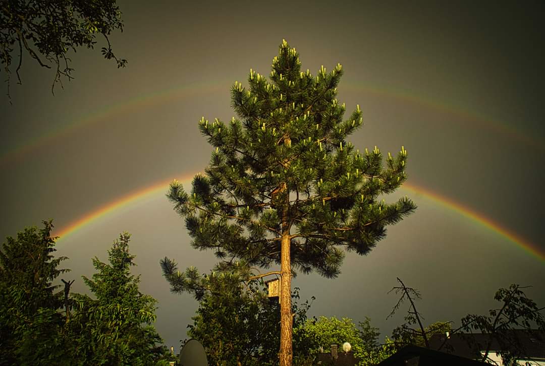 Regenbogen 