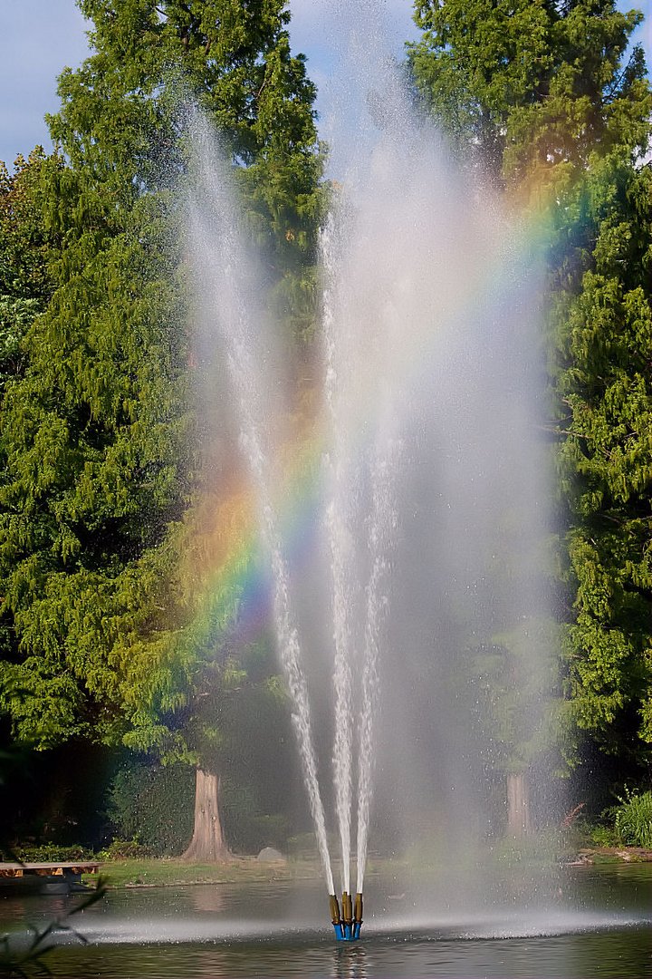 Regenbogen