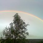 Regenbogen