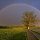 Regenbogen