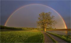 Regenbogen