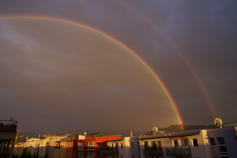 Regenbogen