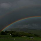 Regenbogen