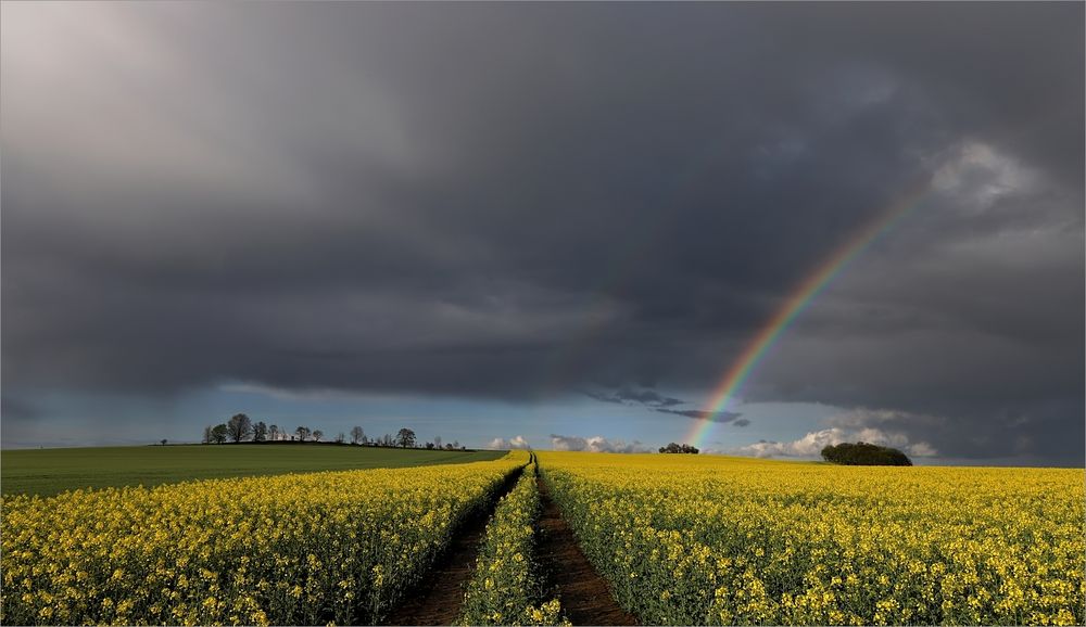 Regenbogen